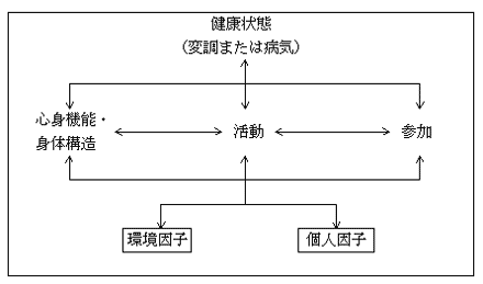 International Classification of Functioning, Disability and Health